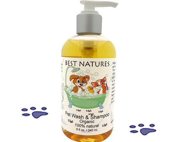 Økologisk Hundeshampoo – Til vores pelsede venner